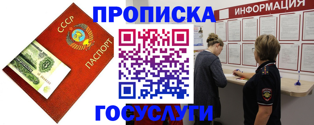 регистрация для школы в Петропавловске-Камчатском